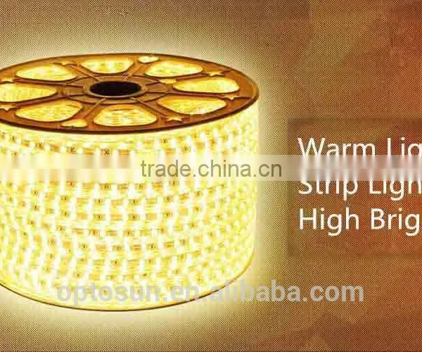 DIY LED Rope Light 110-220V IP67 Multiple Color LED Strip Light photo-5