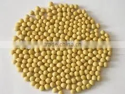New Crop Yellow Soybeans With Good Quality for Sale photo-2