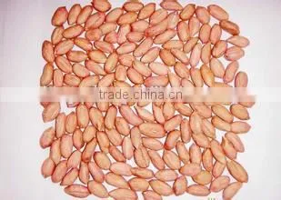 New Crop Peanut Kernels ,long and Round Type for Sale photo-2