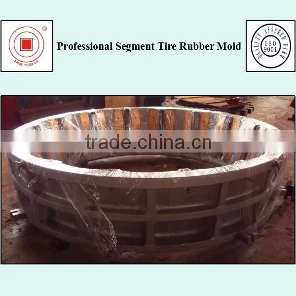 Professoional Segment Tire Rubber Mold photo-3