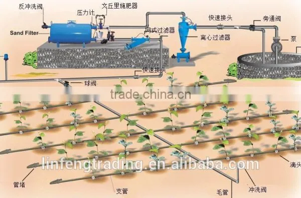 Drip Irrigation System/Irrigation System Design for Micro Spray photo-3