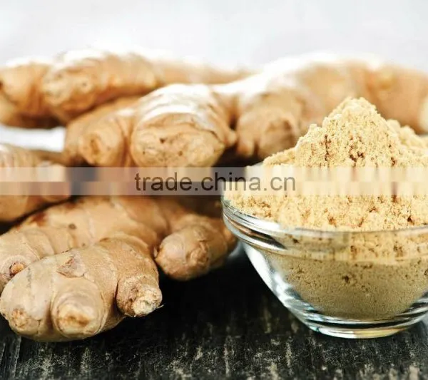 Factory Supply 100% Water Solube Ginger Extract Powder Ginger Powder photo-4