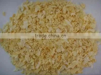 Dehydrated Onion