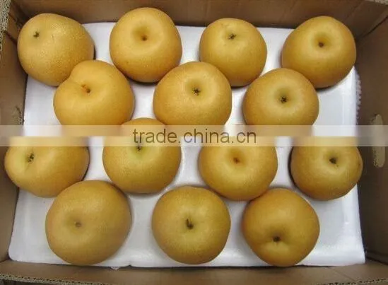 FENGSHUI PEAR photo-2