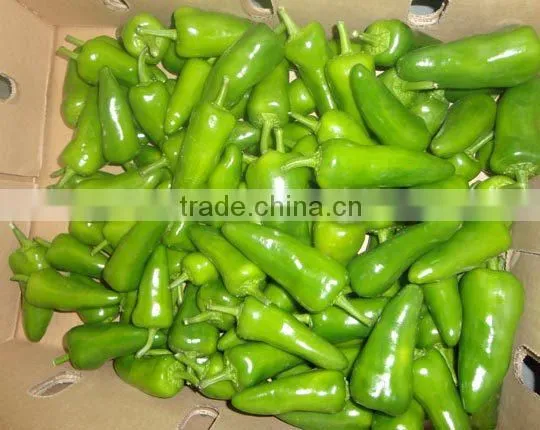 GREEN CHILLI