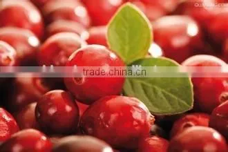 Natural High Quality Cranberry Extract Powder Proanthocyanidins/Cranberry Powder photo-2