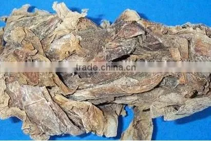 GMP Natural High Quality Ecklonia Cava Extract Powder photo-3