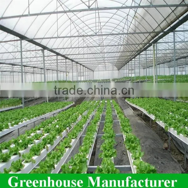 Economica Multi-span Polycarbonate Greenhouse Kits Wholesale photo-2
