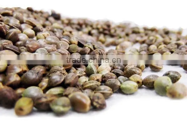 Hemp Seed Oil 100% Natural photo-2