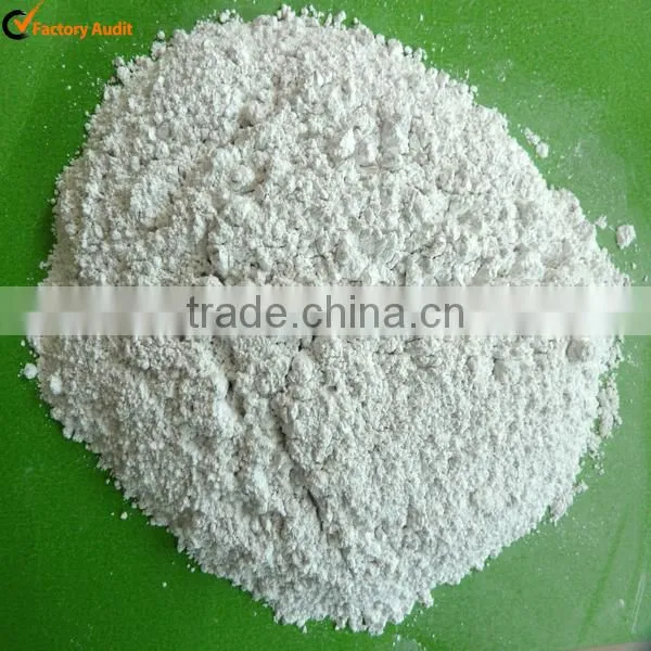 Micron Grade Diatomite Powder photo-6
