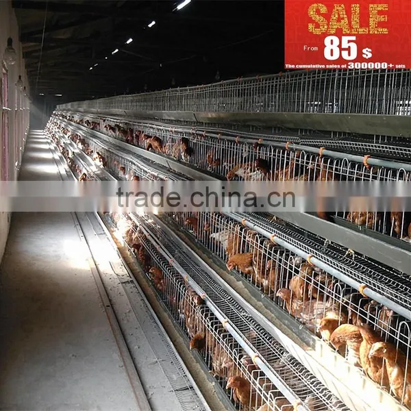 INNAER Factory Supply All Kinds Chicken Coops for Poultry Chicken Farm photo-4