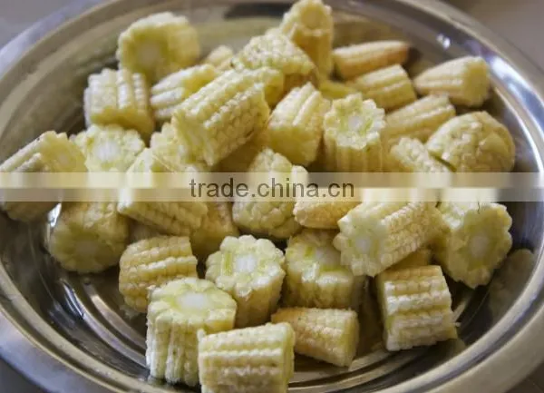 Fresh Baby Corn Cut From Vietnam photo-2
