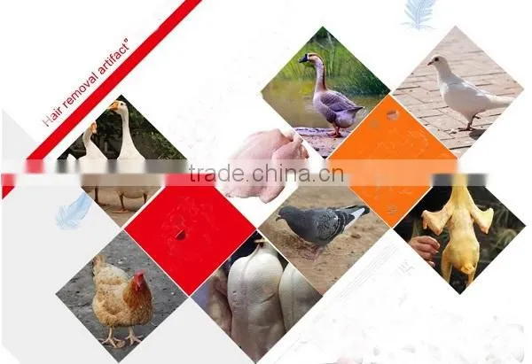 2016 Commercial Chicken Hair Removal Machine/poultry Feather Plucker Machine With One Year Guarantee photo-5