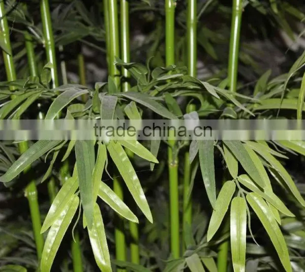 SJ Leek Arrangement of Bamboo With Encryption Leaves photo-5