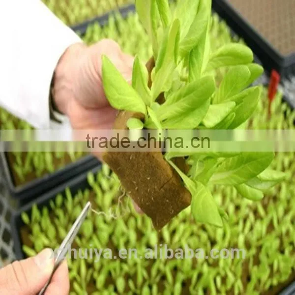 Wet Floral Foam for Agriculture Soilless Seedings Planting photo-6
