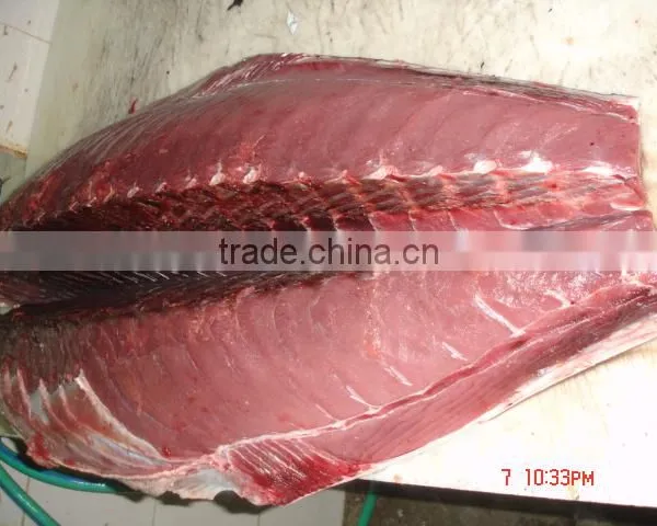 Frozen Yellowfin Tuna photo-2