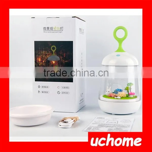 UCHOME 2017 Hot New Products Led Light Music Box, USB Rechargeable Kids Led Night Light For Beside photo-5