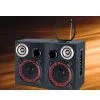 Professional Speaker