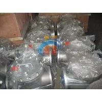 Back Flush Strainer photo-3
