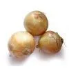 Buy China Yellow Onion