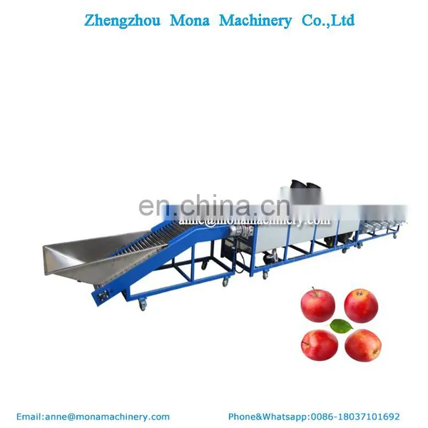 Strawberry sorter | cherry sorting machine | cherry grading machine/fruit and vegetable grader