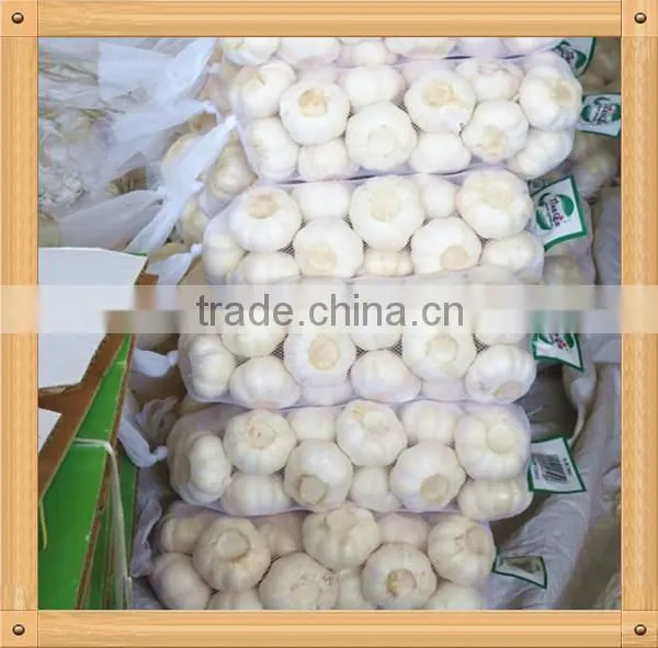 2016 New Crop Fresh Garlic in 10kg Mesh Bag and Carton China Export Garlic photo-3