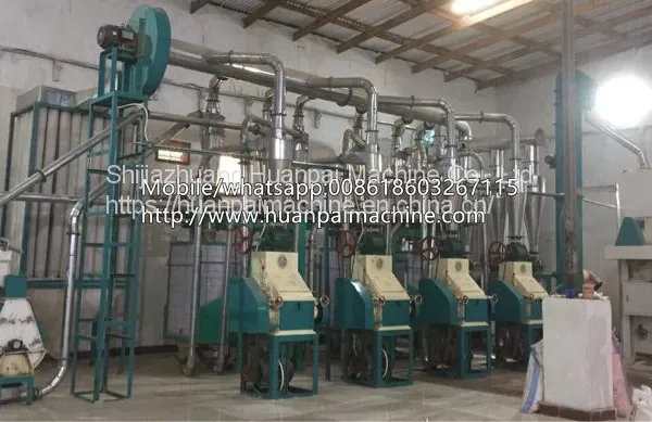 Advanced Miller Wheat Flour Mill Machinery Processing Line photo-2