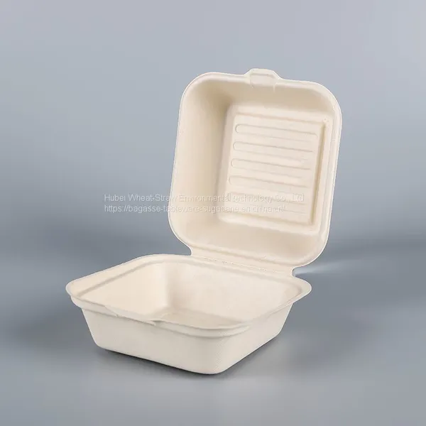 Burger Box 6 