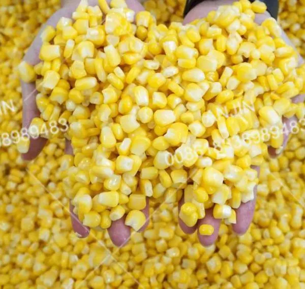 Automatic Fresh Corn Processing Line Sweet Corn Kernel Seperating Threshing Machine photo-5