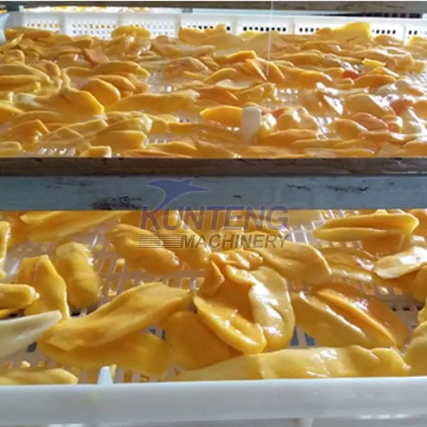 Automatic Fruit Washer and Dryer Pineapple Lemon Mango Apple Slicer Drying Machine Dried Fruit Production Line EPC photo-3