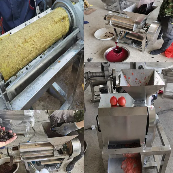 Custom-made Fruit and Vegetable Screw Juicer Asparagus Crushing Juicer photo-6