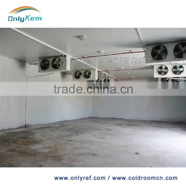 Pu Polyurethane Sandwich Panel Machine/ pu Panel for Cold Room photo-6