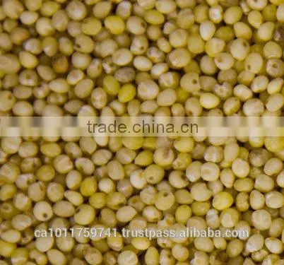 Hulled Millet