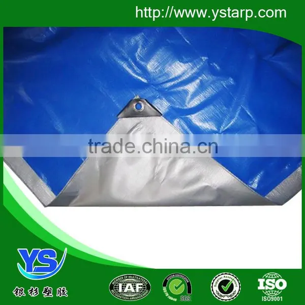Hot Sale Good Quality Plastic Tarpaulin for Truck,PE Tarpaulin photo-4