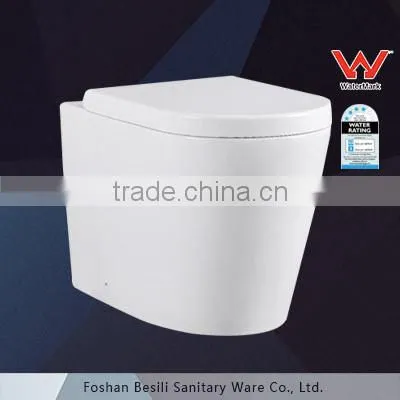 WC Washdown One Piece Bathroom Floor Mounted Toilet With Concealed Cistem BM6011