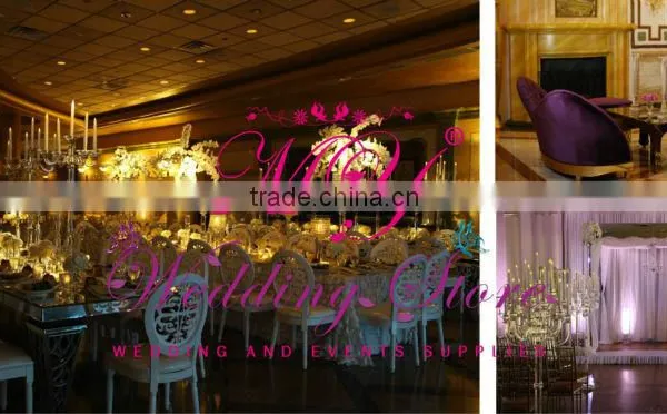 Vip Wedding Chair photo-2