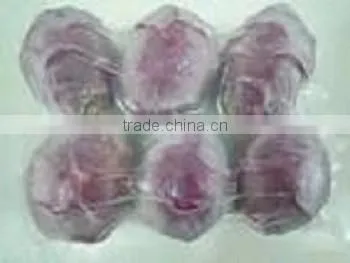 Vietnam Heathy Frozen Dragon Fruit
