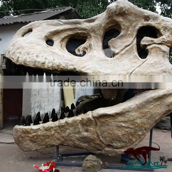 Life Size Dinosaur Head Skeleton Made by Ziong City Dinosaur Manufacture photo-2