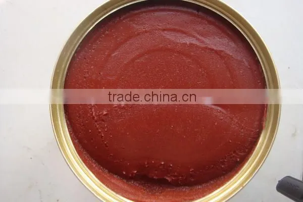 All Kinds of Canned Tomato Paste Sale photo-5