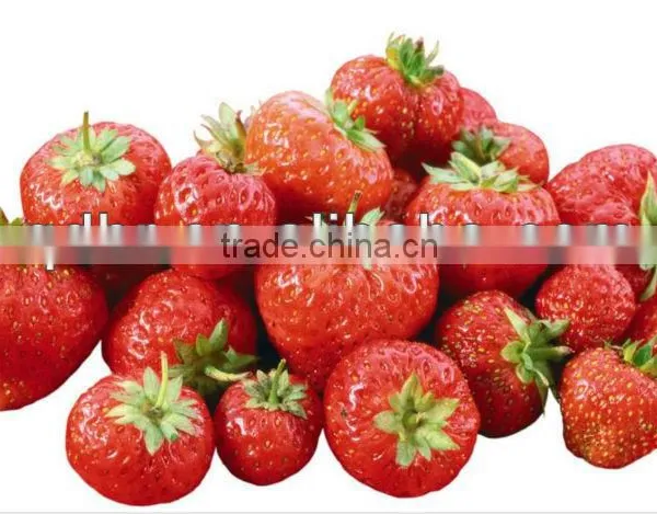 Frozen Strawberry photo-2