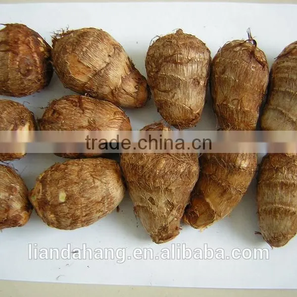 Certified GAP Chinese Frozen Taro & Eddo Root Plant photo-5