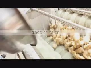 MIC Hot Sale MSTP-80 Potato Peeling Machine Fish Skin Peeler Machine photo-4