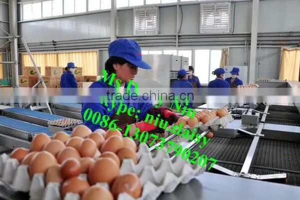 Automatic Egg Packing Machine/egg Tray Packaging Machine/egg Grading Machine for Packing photo-6