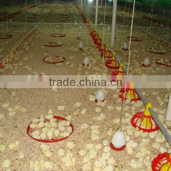 Auger Feeding and Nipple Drinking Equipment for Ground Chicken photo-2