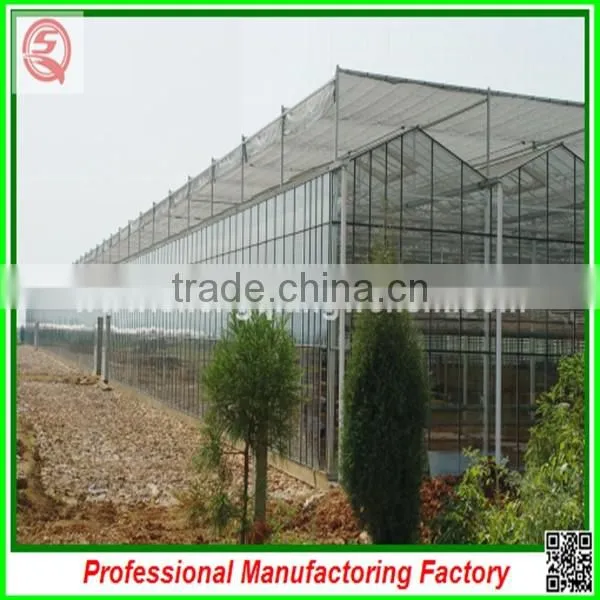 China Cheapest Hot-dip Galvanized Steel Structure Greenhouses With Hydroponic Grow Systems