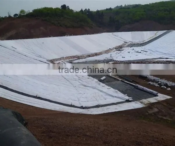 Composite Geomembrane 200g/m2 0.3mm Factory Price photo-4