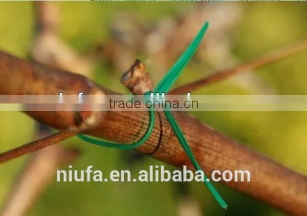Good Quality Metal Wire Twist Tie Wire for Grape Vines photo-2