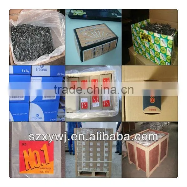 ISO Certificate Customized Product Long Common Nails(supplier) photo-4