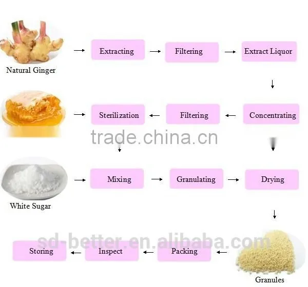 Instant Honey Ginger Tea With Lemon Ginger Tea/ginger Tea/herbal Tea FDA KOSHER photo-3