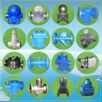 Steam Trap Valve